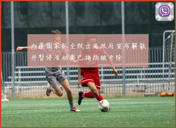 加蓬国家队全败出局政府宣布解散并暂停活动奥巴梅扬被开除