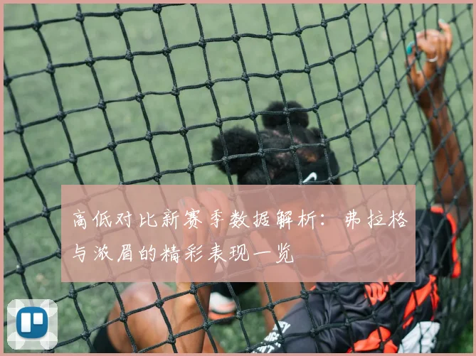 高低对比新赛季数据解析：弗拉格与浓眉的精彩表现一览