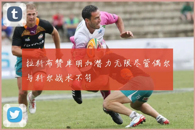 拉科布赞库明加潜力无限尽管偶尔与科尔战术不符