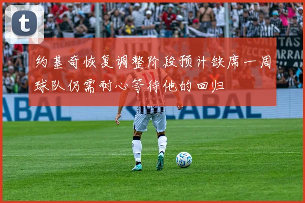 约基奇恢复调整阶段预计缺席一周球队仍需耐心等待他的回归